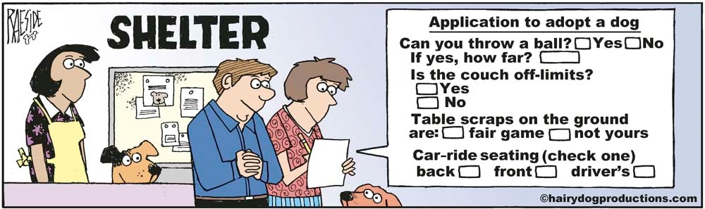 The Doggy Adoption Quiz