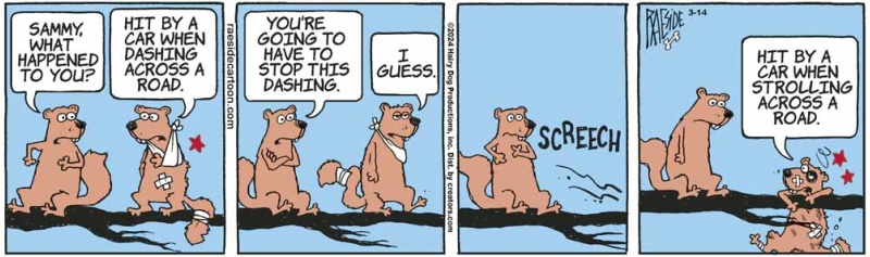 squirreldashing_658560696