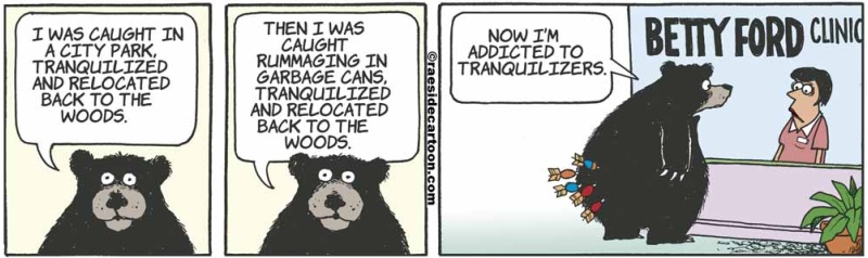 bearaddiction