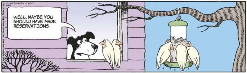 birdfeeder_1058580750