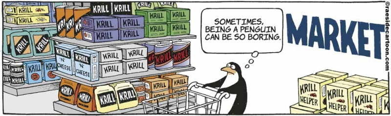 penguinmarket