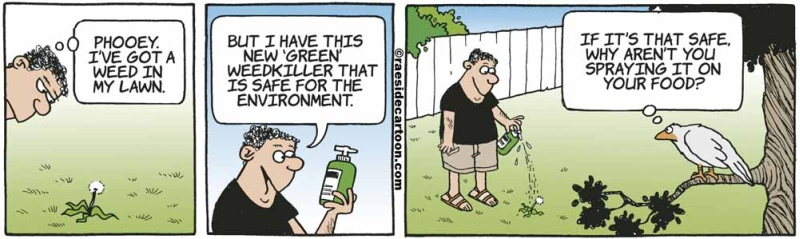 birdsspraying_1551209111