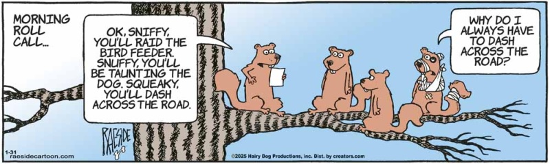 squirrels_1563415369