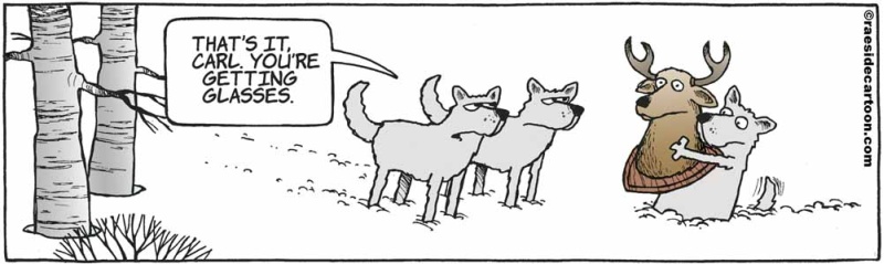 wolfglasses_411467818