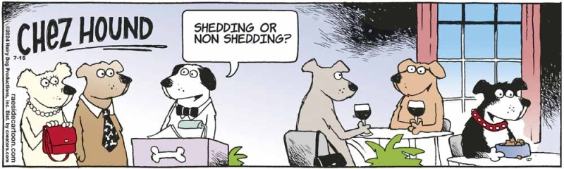 chezhound_1277612574