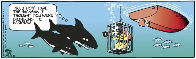 sharkhacksaw_1663785493